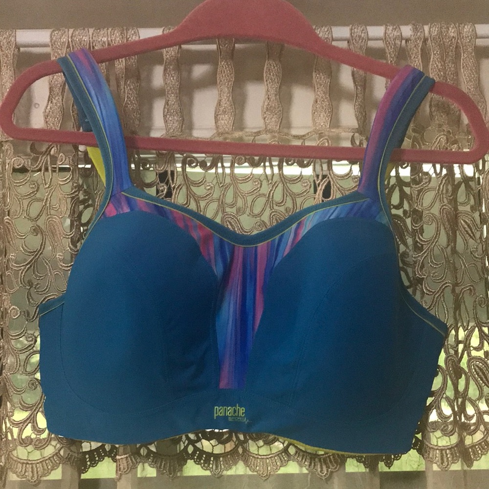 🐞Panache Sports Bra